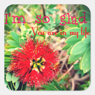 I'm Glad You Are in my Life Square Sticker