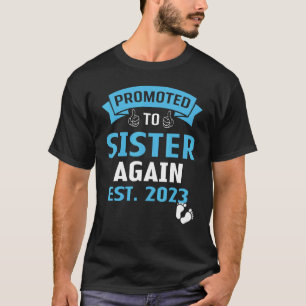 I'm Going To Be A Big Sister Again 2023 Big Sis A T-Shirt
