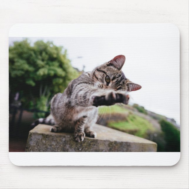 I'm gonna catch You: Funny Cat Mouse Pad (Front)