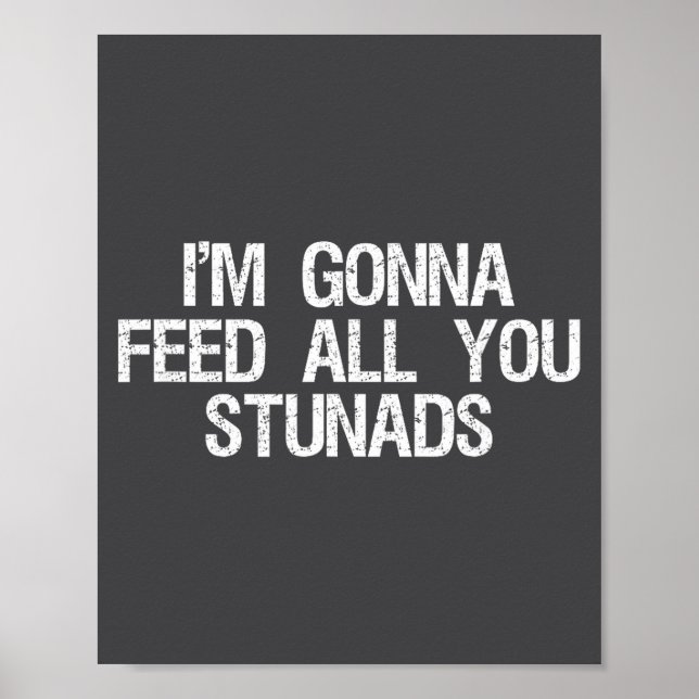 I'm Gonna Feed All You Stunads Shirt Funny Sarcast Poster (Front)