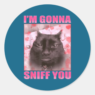 I'm Gonna Sniff You Funny Cats Meme Women Men Classic Round Sticker