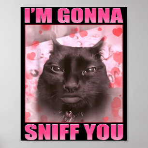 I'm Gonna Sniff You Funny Cats Meme Women Men  Poster