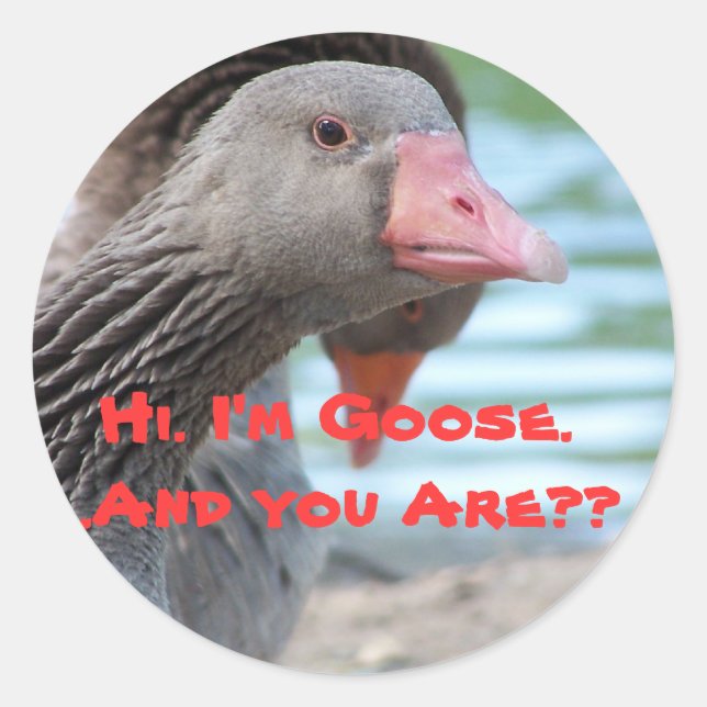 I'm goose sticker (Front)
