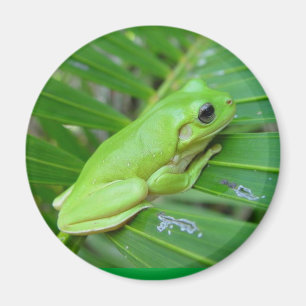 I'm Green Magnet