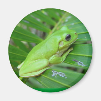 I'm Green Magnet