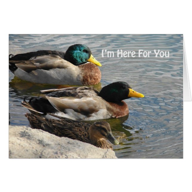 I'm Here for You Ducks in Water (Front Horizontal)