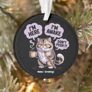 I'm Here I'm Awake Don't Push It Funny Old Cat Ornament