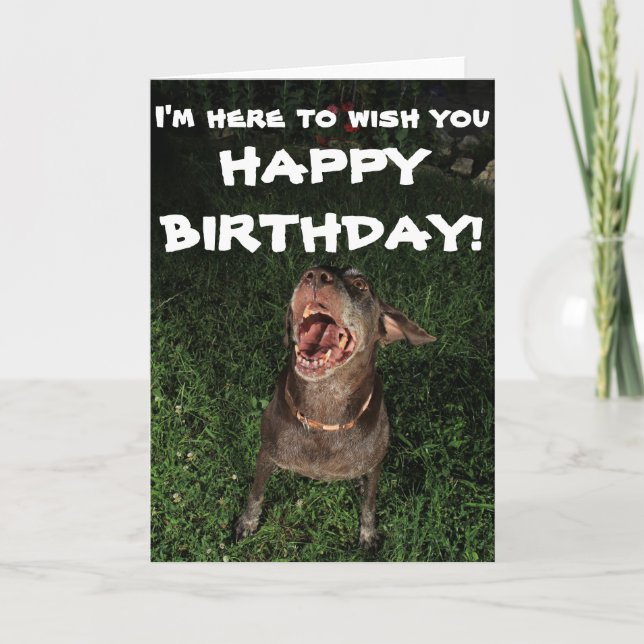 I'm Here To Wish You HAPPY BIRTHDAY Greeting card (Front)