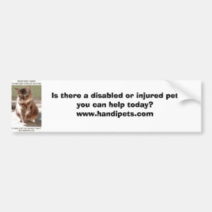 I'm Here Today Bumper Sticker