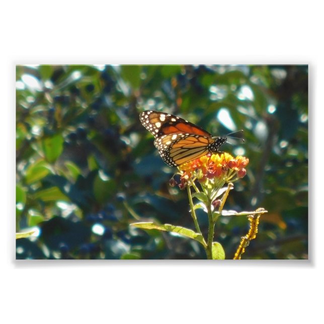 I'm Home Now Photo Print (Front)