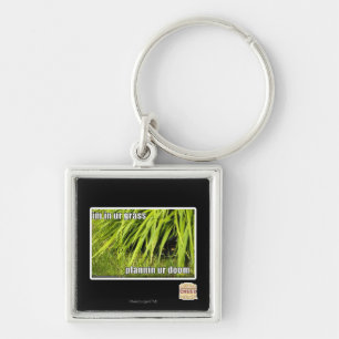 im in ur grass key ring