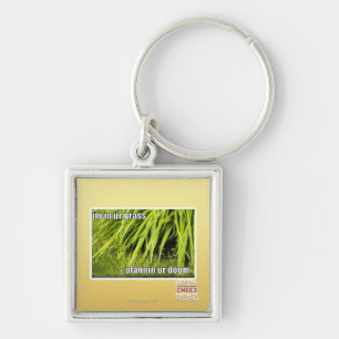 im in ur grass key ring