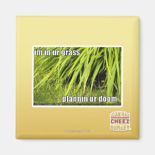 im in ur grass magnet