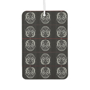 im in your head xray mri scan medical car air freshener