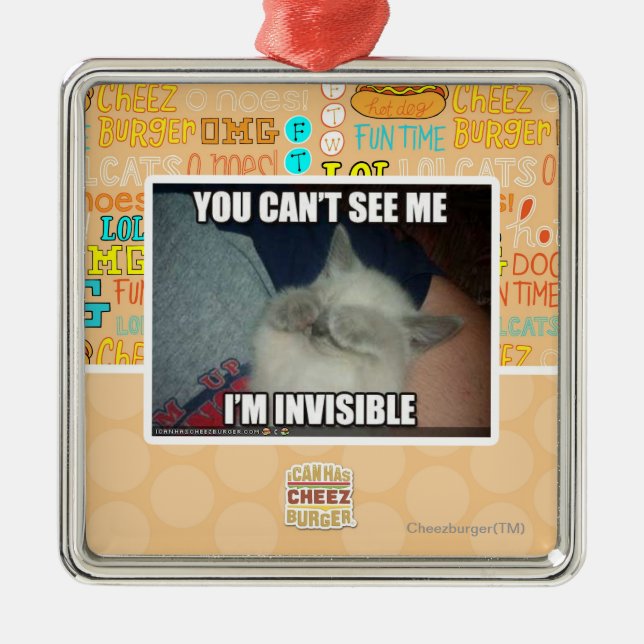 I'm Invisible Metal Ornament (Front)