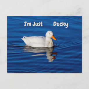 I'm Just Ducky Postcard