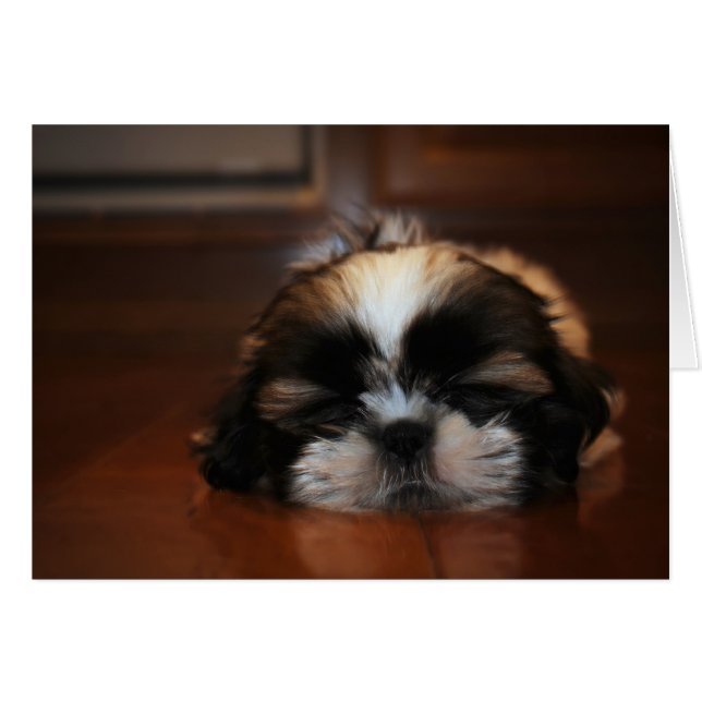 I'm Just Resting My Eyes-Blank Card (Front Horizontal)