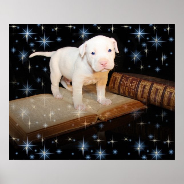 I'm Learning How To Read the Bible Poster (Front)