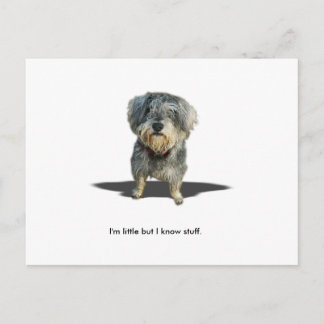 I'm little but I know stuff. Postcard