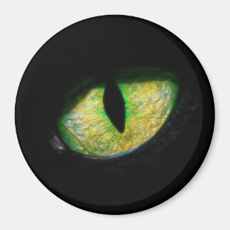 I'm looking at you magnet