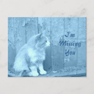 I'm Missing You/Blue Sahara postcard