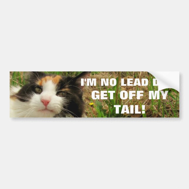 I'm No Lead Dog Cat Meme Bumper Sticker (Front)