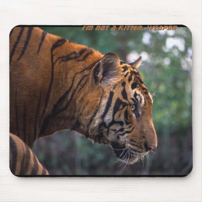 I'm not a kitten. Weapon - the tiger Mouse Pad (Front)