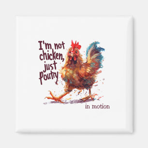 I'm Not Chicken Just Poultry Funny Rooster Farm An Magnet
