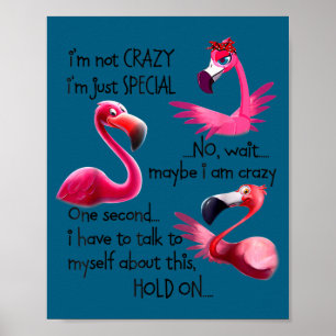 I'm Not Crazy I'm Just Special Funny Flamingo Sayi Poster
