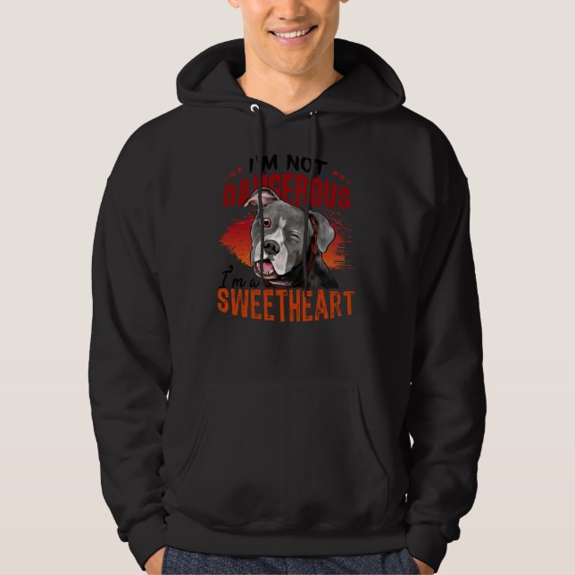 Im Not Dangerous Im A Sweetheart Pitbull Lover  Wh Hoodie (Front)