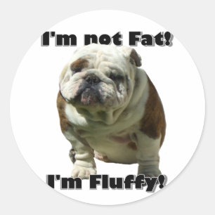 I'm not fat Bulldog stickers