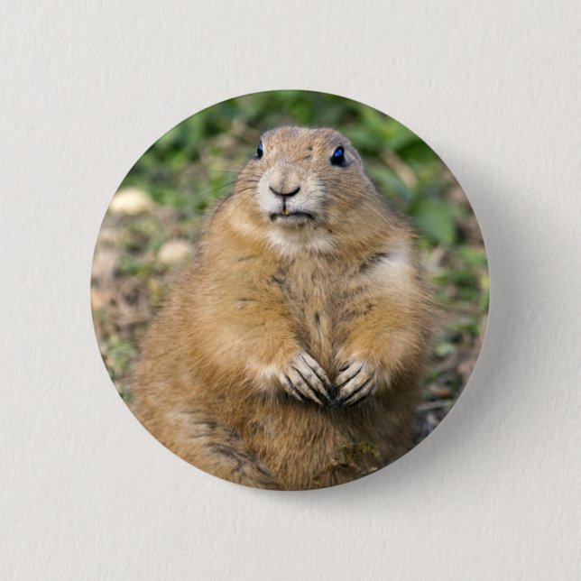 I'm Not Fat, I'm Cuddly Badge (Front)