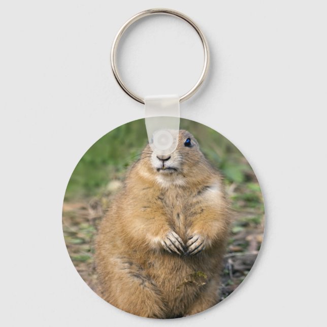I'm not Fat, I'm Cuddly Keyring (Front)
