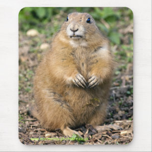 I'm not Fat, I'm Cuddly Mousemat
