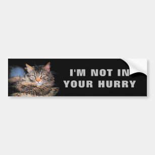 I'm Not In Your Hurry Cat Meme Bumper Sticker