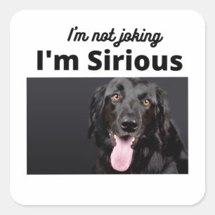 I'm not Joking, I'm Sirious Square Sticker