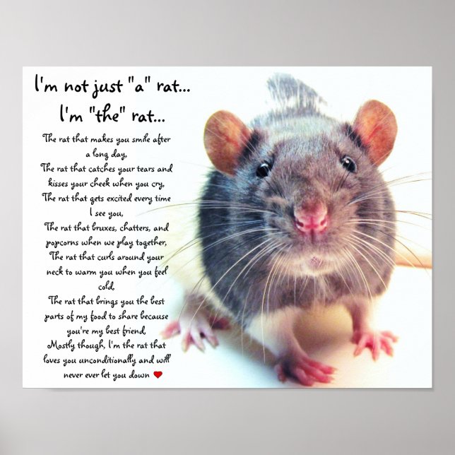 I'm Not Just "a" Rat Poster (Front)