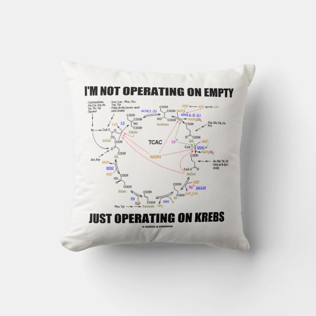 I'm Not Operating On Empty Just Operating On Krebs Cushion (Front)