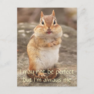 I'm Not Perfect Chipmunk Quote Postcard