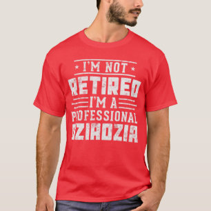 Im Not Retired Im A Professional Dziadzia gifts fu T-Shirt