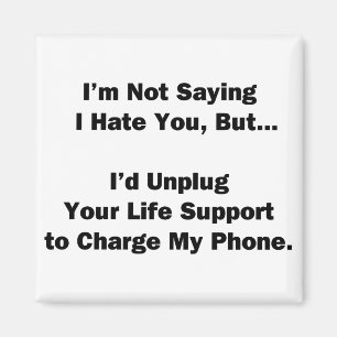 I'm Not Saying I Hate You... Magnet