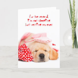 im not sleeping yellow lab puppy valentine holiday card