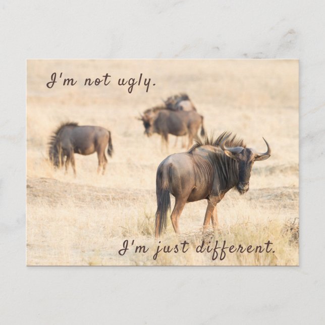 I'm not ugly wildebeest photo with text postcard (Front)