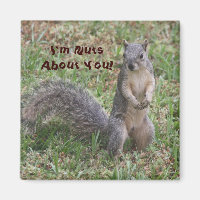 I'm Nuts About You Magnet