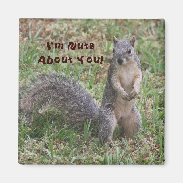 I'm Nuts About You Magnet (Front)