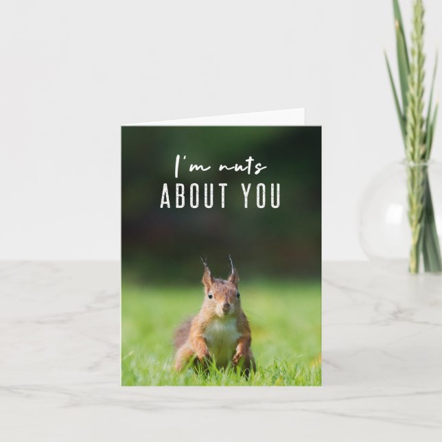 I'm nuts about you | Squirrel Modern Funny Fluffy Card (Front)