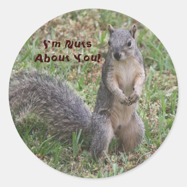 I'm Nuts About You Sticker (Front)