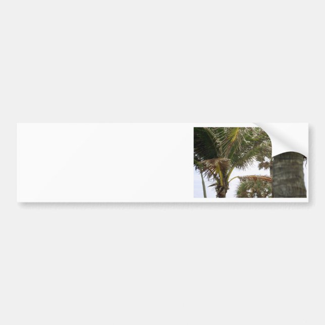 I'm on Island Time! Bumper Sticker (Front)