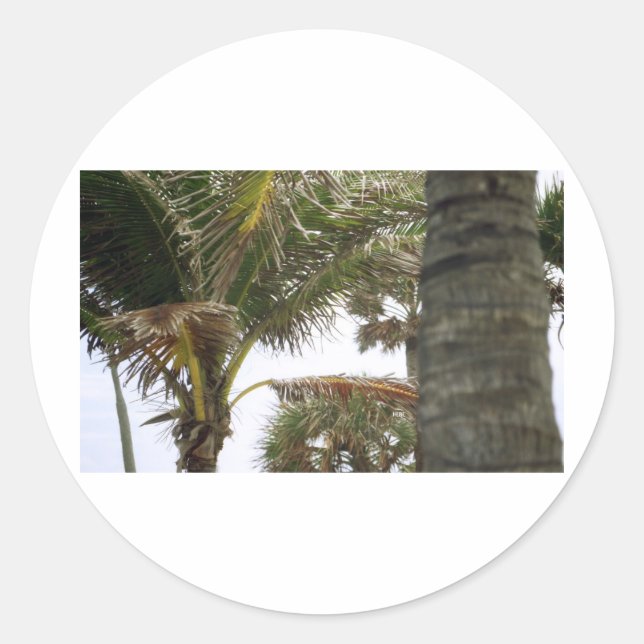 I'm on Island Time! Classic Round Sticker (Front)