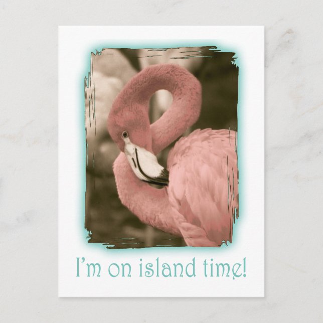 I'm on Island Time Postcard (Front)